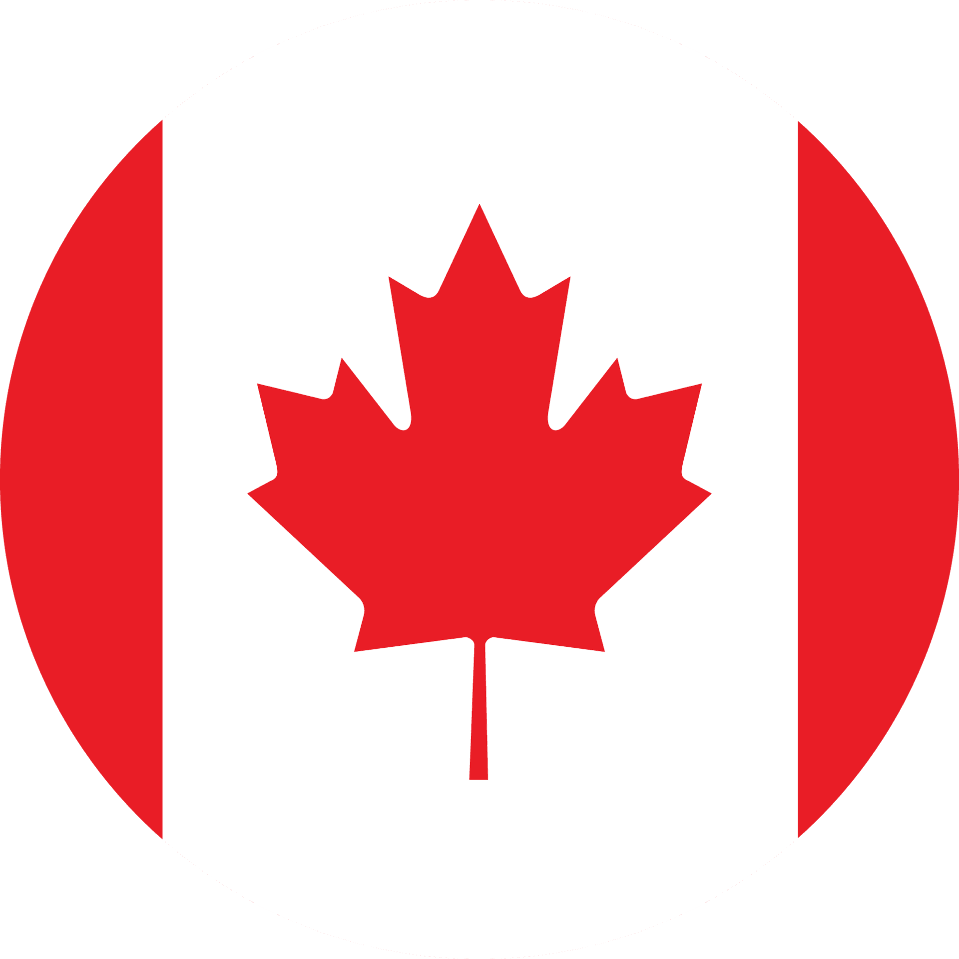CAD flag