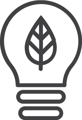 Our Vision Icon