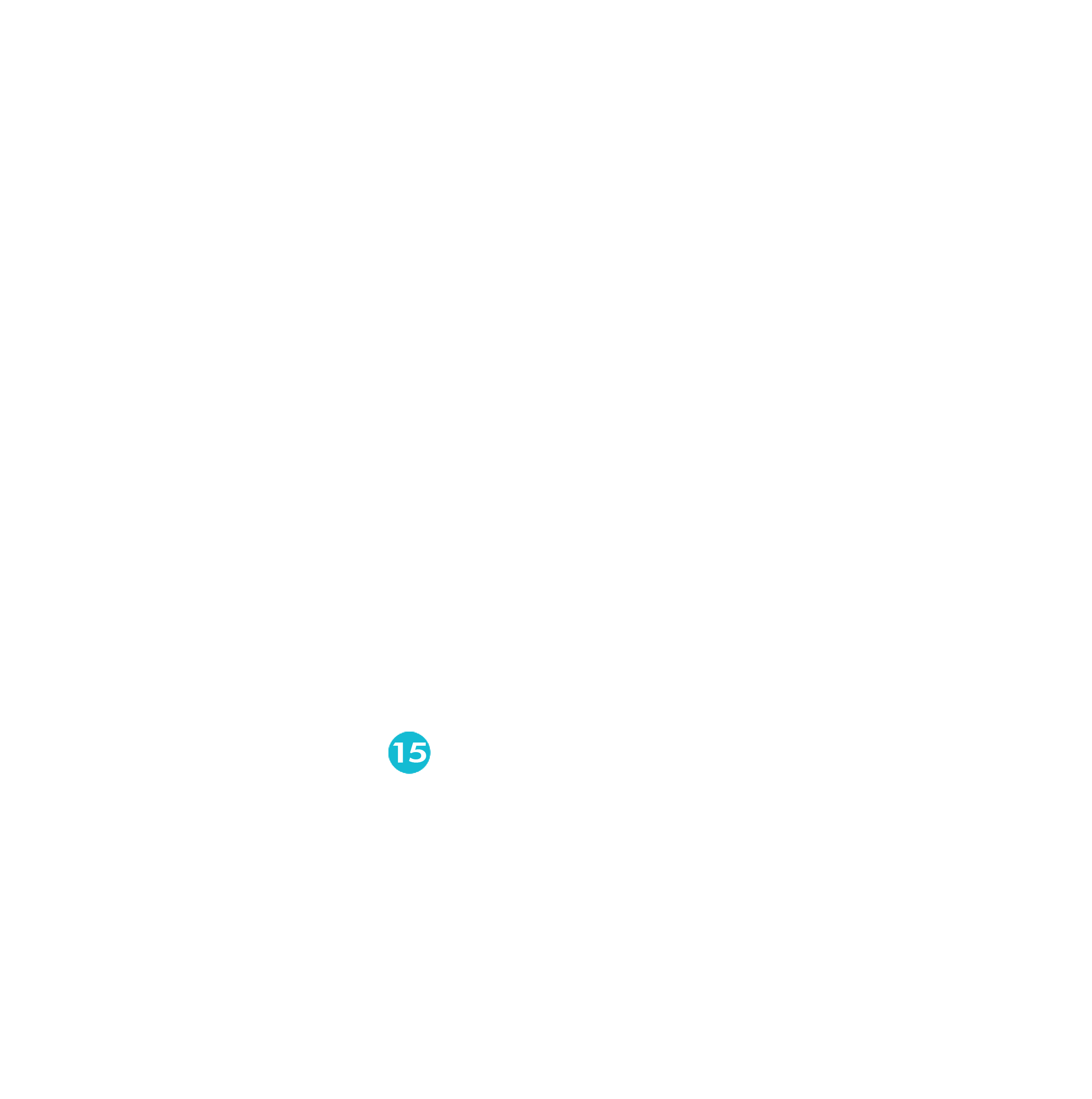 Port 15 detail