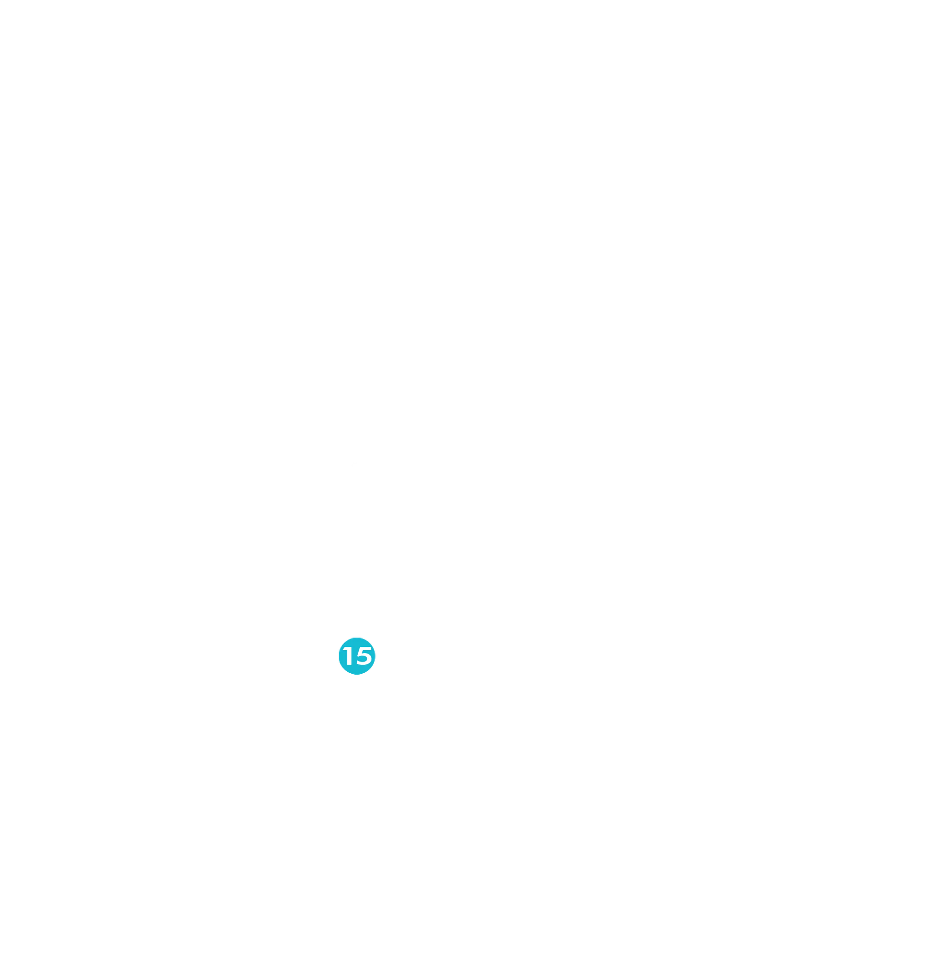 Port 15 detail